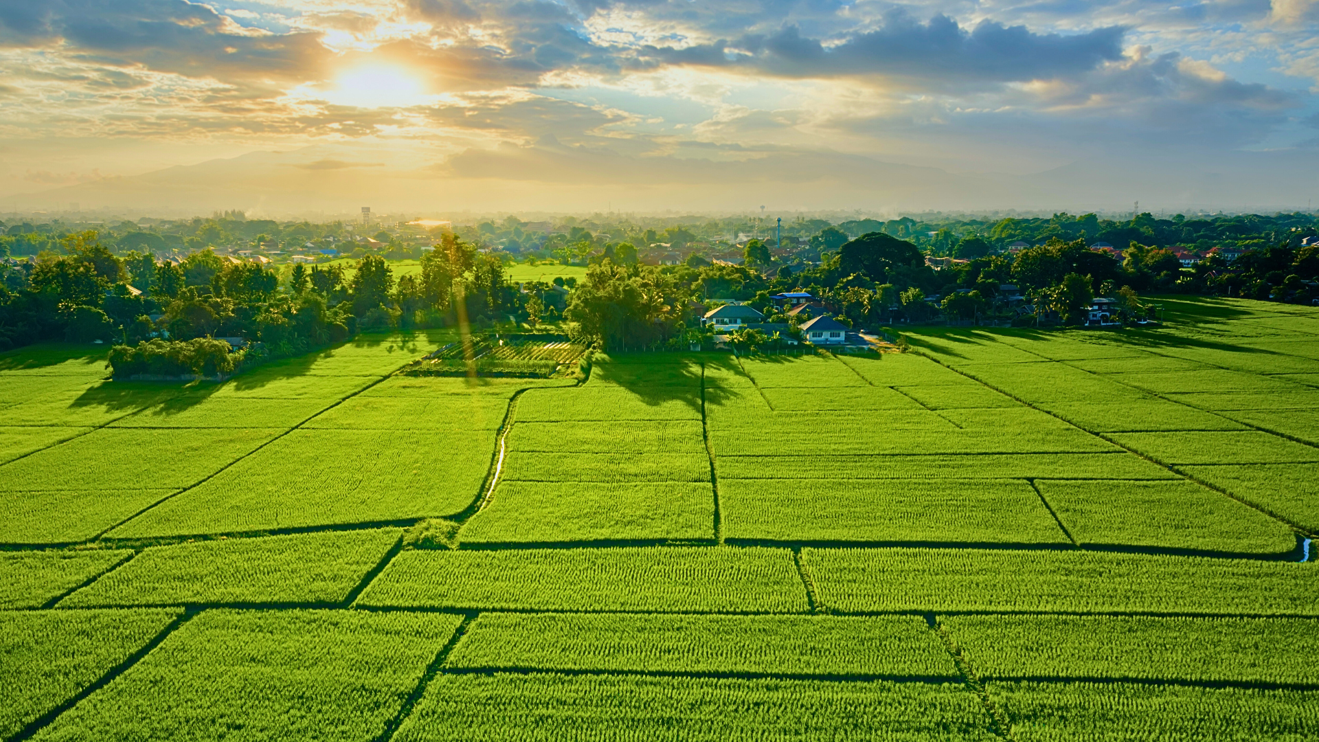 Land Sales
