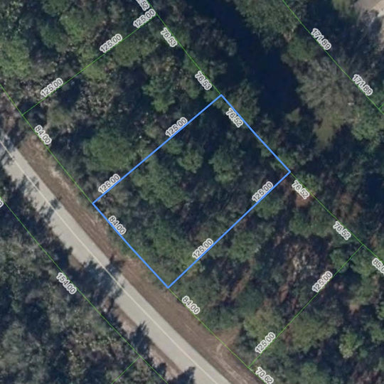 354 COOLIDGE AVE NE LAKE PLACID Land for Sale by VonErick Capital in South Florida Ready to build lots