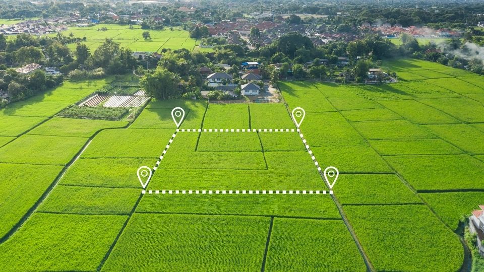 Land For Sale - Land Plot